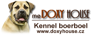 logo Doxy House